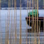 Boats on Irish river